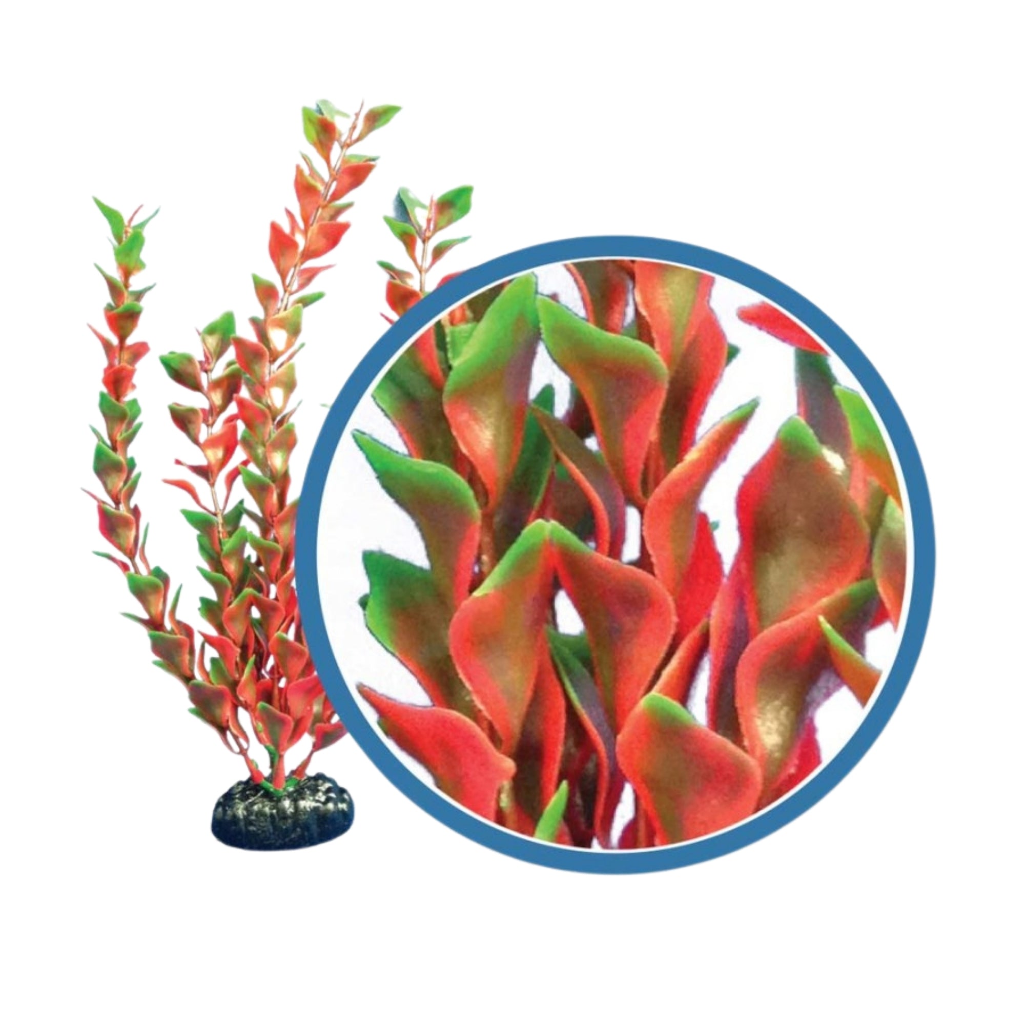 Weco Products Freshwater Pro Series Ludwigia Aquarium Plant Red, 1ea/18 in