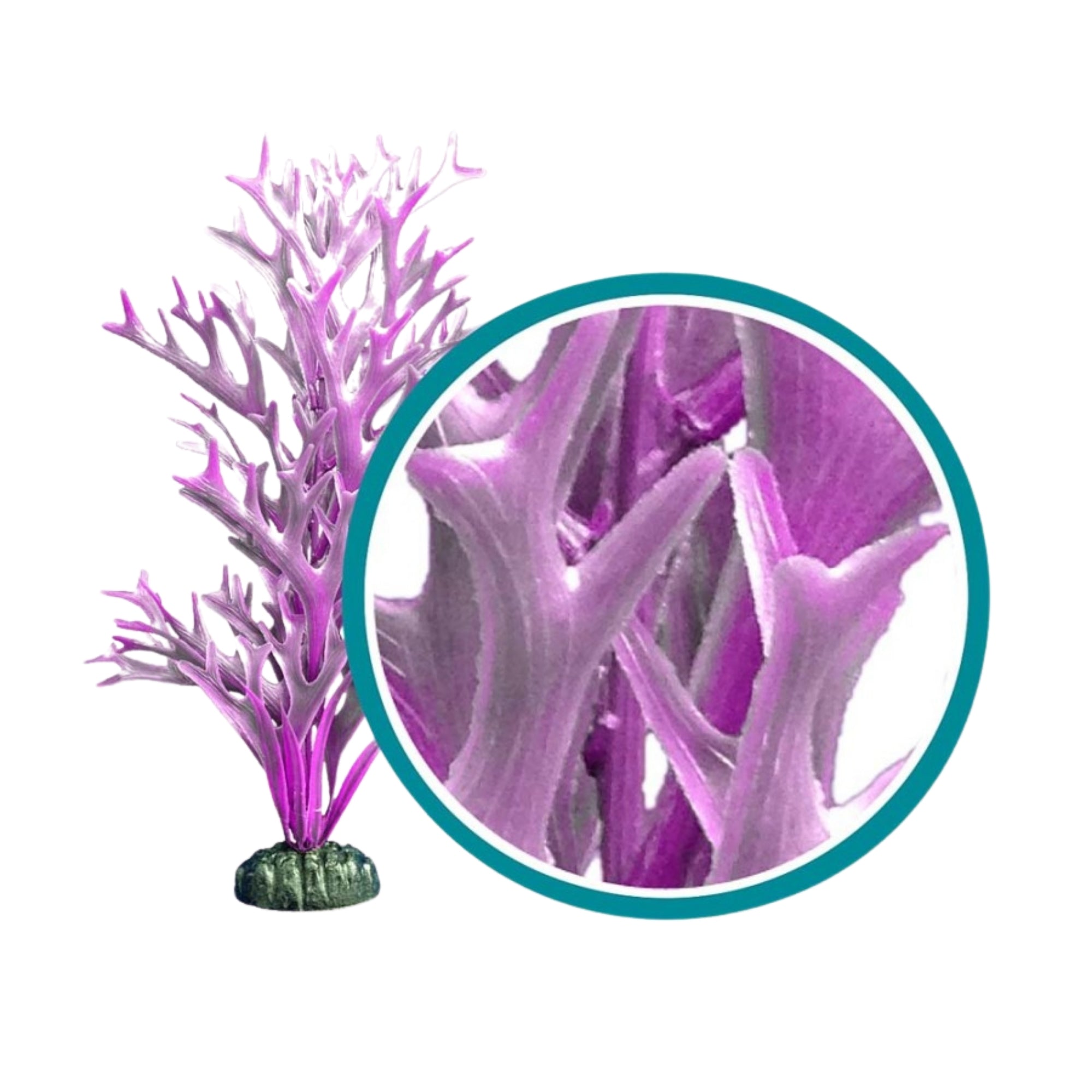 Weco Products Marine Pro Series Giant Kelp Aquarium Plant Purple, 1ea/18 in, Giant