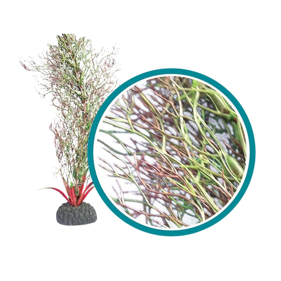 Weco Products Marine Pro Series Fine Branch Kelp Aquarium Plant Green, 1ea/24 in