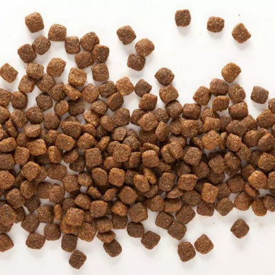 Wholesomes Grain Free Dry Dog Food Beef Meal & Potatoes 35lb