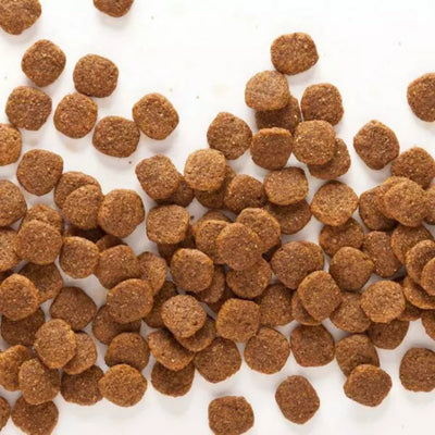 Wholesomes Grain Free Dry Dog Food Chicken Meal & Potatoes 35lb
