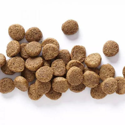 Wholesomes Dry Dog Food Lamb Meal & Rice 40lb
