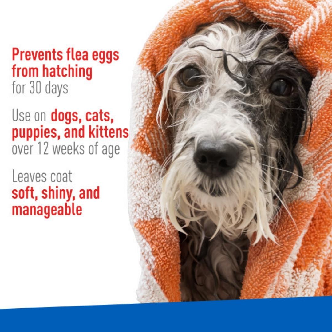 Adams Flea & Tick Cleansing Shampoo 12oz