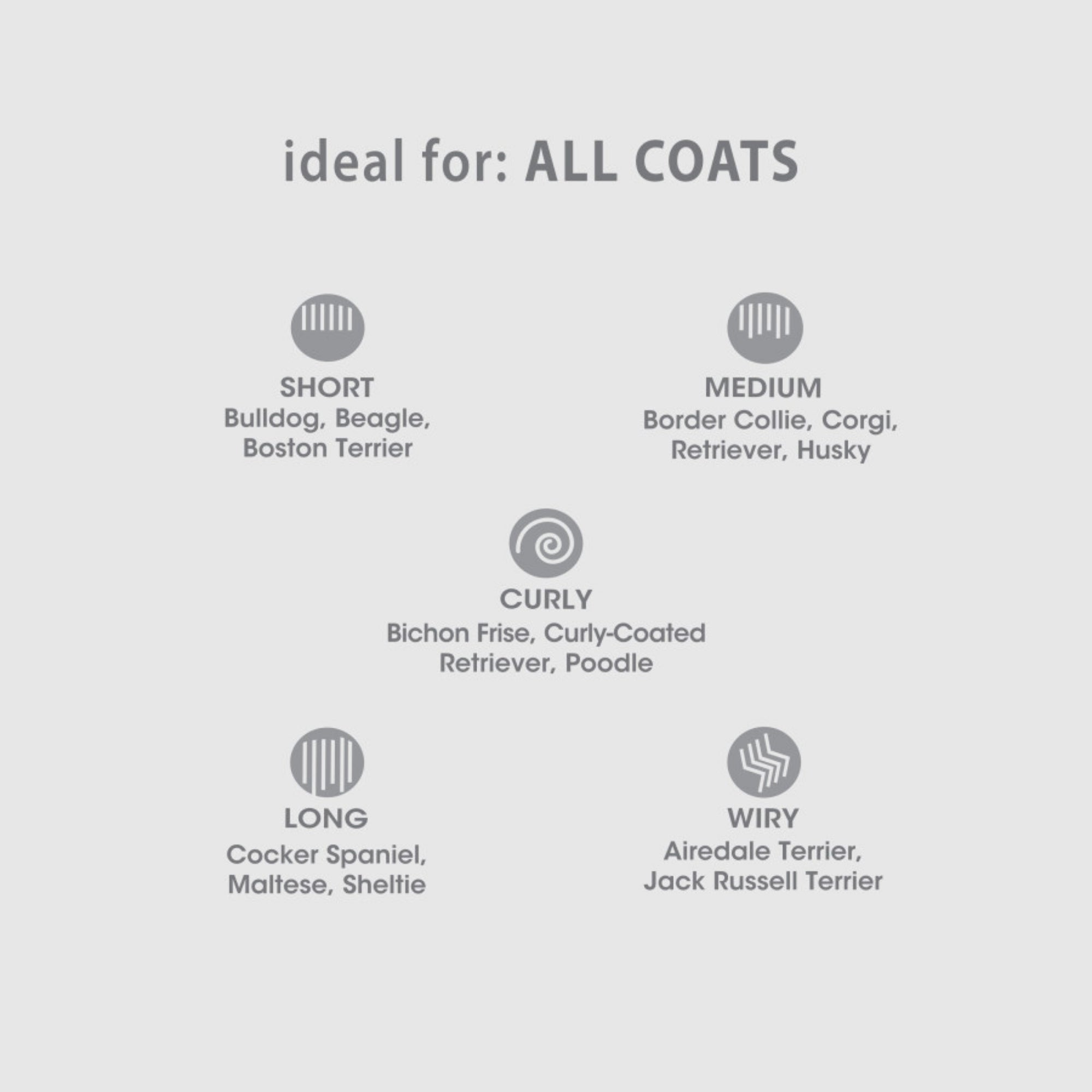 Four Paws Magic Coat Reduces Shedding Dog Shampoo Honey Vanilla, 1ea/16 oz 1 ct