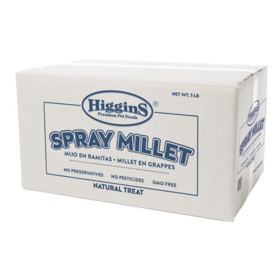 Higgins Spray Millet Natural Avian Treat 5 Lb