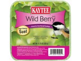 Kaytee Wild Berry High Energy Mini Suet 1ea/11.75 oz