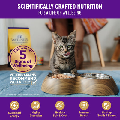 Wellness Cat Complete Health Morsel Chicken Entrée 3oz. (Case of 24)