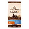 Wellness Core + Cat Hairball Chicken Grain-free 4.75Lb