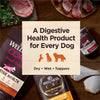 Wellness Dog Core Digestive Health Chicken Recipe 4Lb