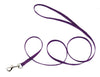 Coastal Single-Ply Nylon Dog Leash Purple 1ea/3/8 In X 4 ft