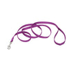 Coastal Single-Ply Nylon Leash Orchid 5/8X6Ft