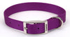 Coastal Single-Ply Nylon Dog Collar Purple 1ea/3/4 In X 18 in