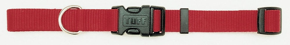 Coastal Adjustable Nylon Dog Collar with Plastic Buckle Red, 1ea/3/8 In X 812 in