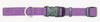 Coastal Adjustable Nylon Dog Collar with Plastic Buckle Purple 1ea/3/4 In X 14-20 in