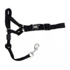 Walk 'n Train Dog Head Halter Black 1ea/SM