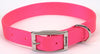 Coastal Single-Ply Nylon Collar Neon Pink 1X20In