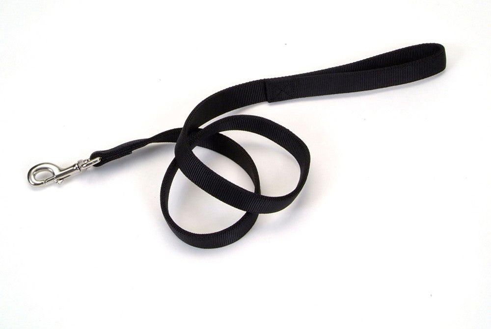 Coastal DoublePly Nylon Dog Leash Black, 1ea/1 In X 4 ft