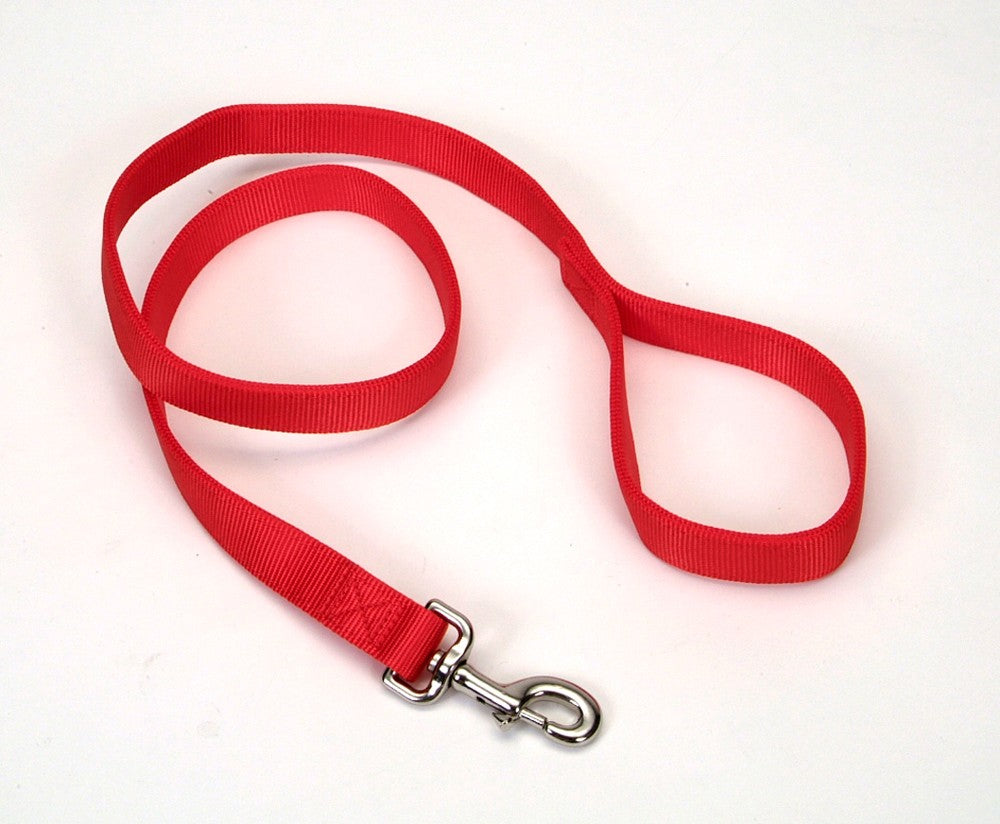 Coastal DoublePly Nylon Dog Leash Red, 1ea/1 In X 4 ft