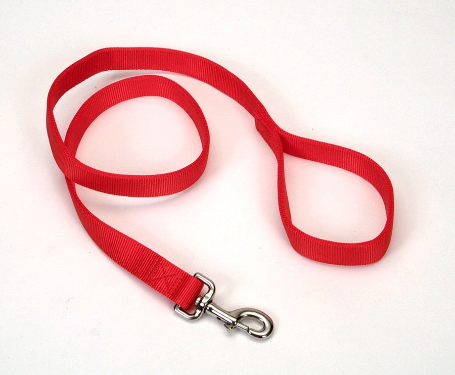 Coastal DoublePly Nylon Dog Leash Red, 1ea/1 In X 4 ft