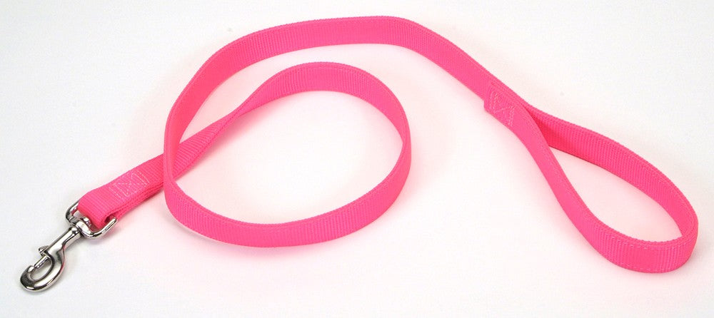 Coastal DoublePly Nylon Dog Leash Neon Pink, 1ea/1 In X 4 ft