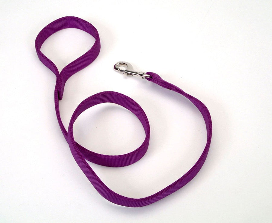 Coastal DoublePly Nylon Dog Leash Purple, 1ea/1 In X 4 ft