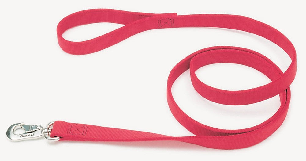 Coastal DoublePly Nylon Dog Leash Red, 1ea/1 In X 6 ft