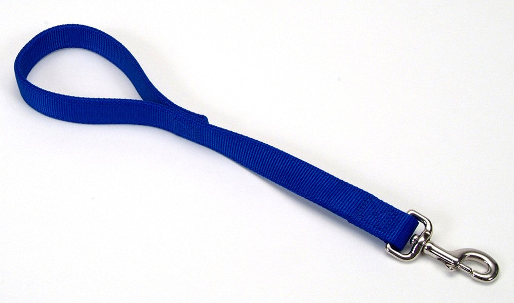 Coastal DoublePly Nylon Traffic Dog Leash Blue, 1ea/1 In X 24 in