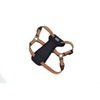 Coastal Products K9 Explorer Reflective Adjustable Padded Dog Harness Campfire Orange