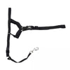 Walk 'n Train Dog Head Halter Black 1ea/XL