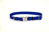 Coastal Adjustable Nylon Collar With Coastal Titan Metal Buckle Blue 5/8X14In