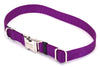 Coastal Adjustable Nylon Collar With Coastal Titan Metal Buckle Purple 1X18-26In