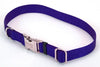 Coastal Adjustable Nylon Dog Collar with Titan Metal Buckle Blue 1ea/1 In X 14-20 in