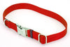 Coastal Adjustable Nylon Dog Collar with Titan Metal Buckle Red 1ea/1 In X 14-20 in