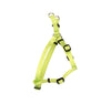 Coastal Comfort Wrap Adjustable Nylon Harness Lime 3/8X12-18In Girth