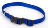 Coastal Adjustable Nylon Collar With Tuff Buckle Blue 1X20In