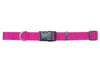 Coastal Adjustable Nylon Dog Collar with Plastic Buckle Pink Flamingo 1ea/5/8 In X 10-14 in