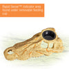 Zilla Rapid Sense Decor Large Crocodile Skull 1ea/Large