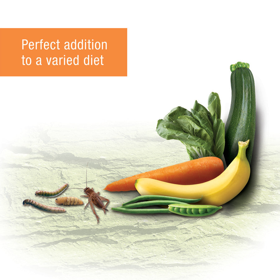 Zilla Reptile Munchies, Omnivore Mix with Calcium 1ea/4 oz