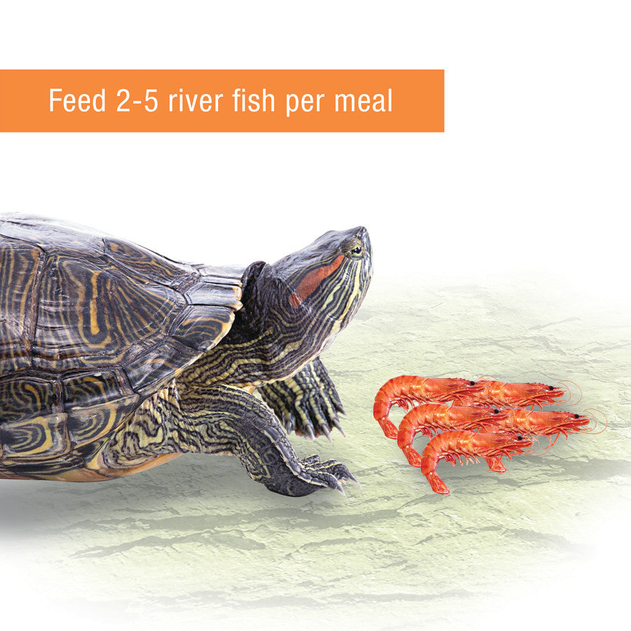 Zilla Reptile Munchies River Shrimp 1ea/2 oz