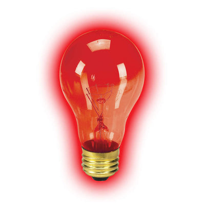 Zilla Incandescent Bulbs Night Red 1ea/100 W