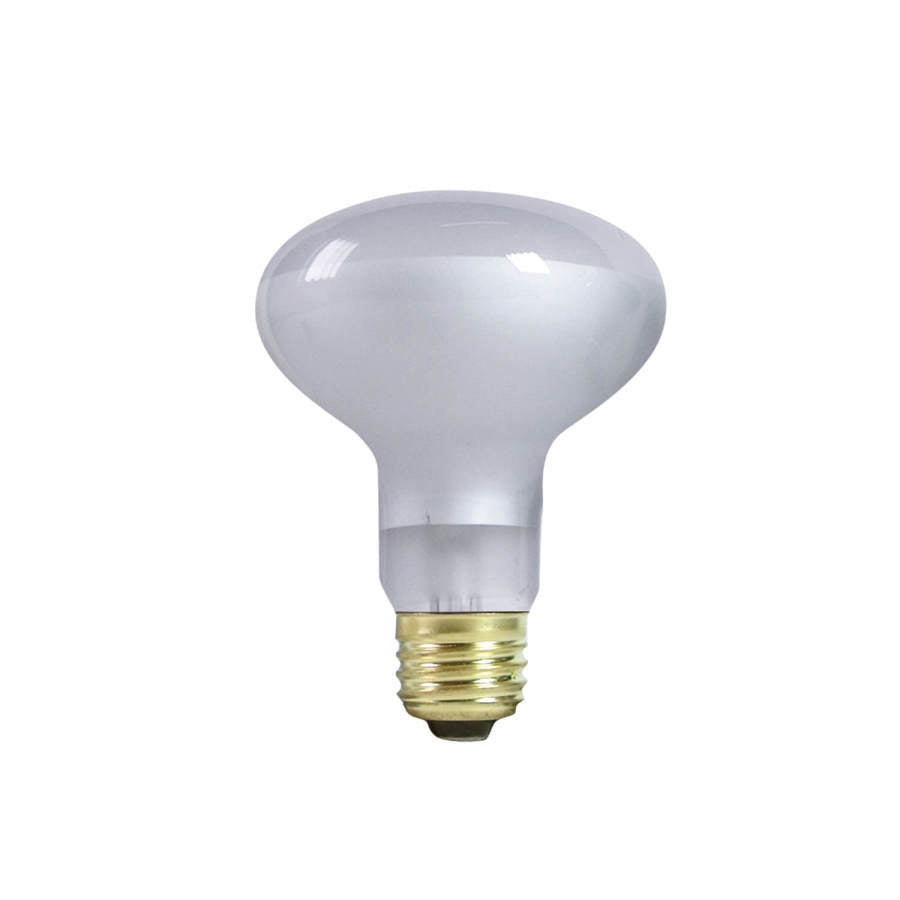 Zilla Incandescent Spot Bulb Day White, 1ea/75 W