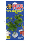 Zoo Med Betta Plant Philo Green 1ea