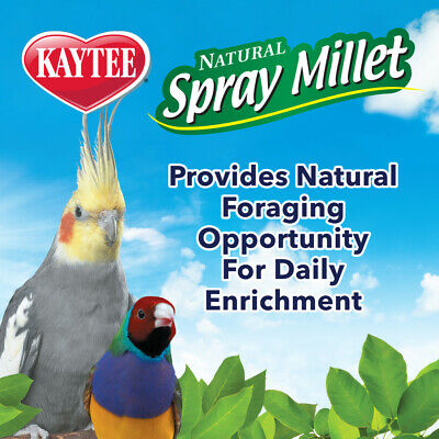 Kaytee Spray Millet for Birds 7oz
