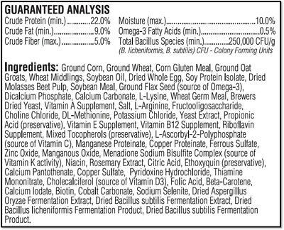 Kaytee Exact Handfeeding  Baby Bird 1ea/18 oz