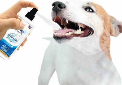 Nylabone Advanced Oral Care Dental Spray Fresh Breath, 1ea/4 oz 1 ct