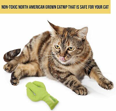 OurPets Cosmic Prickles Cactus Catnip Toy Green 1ea