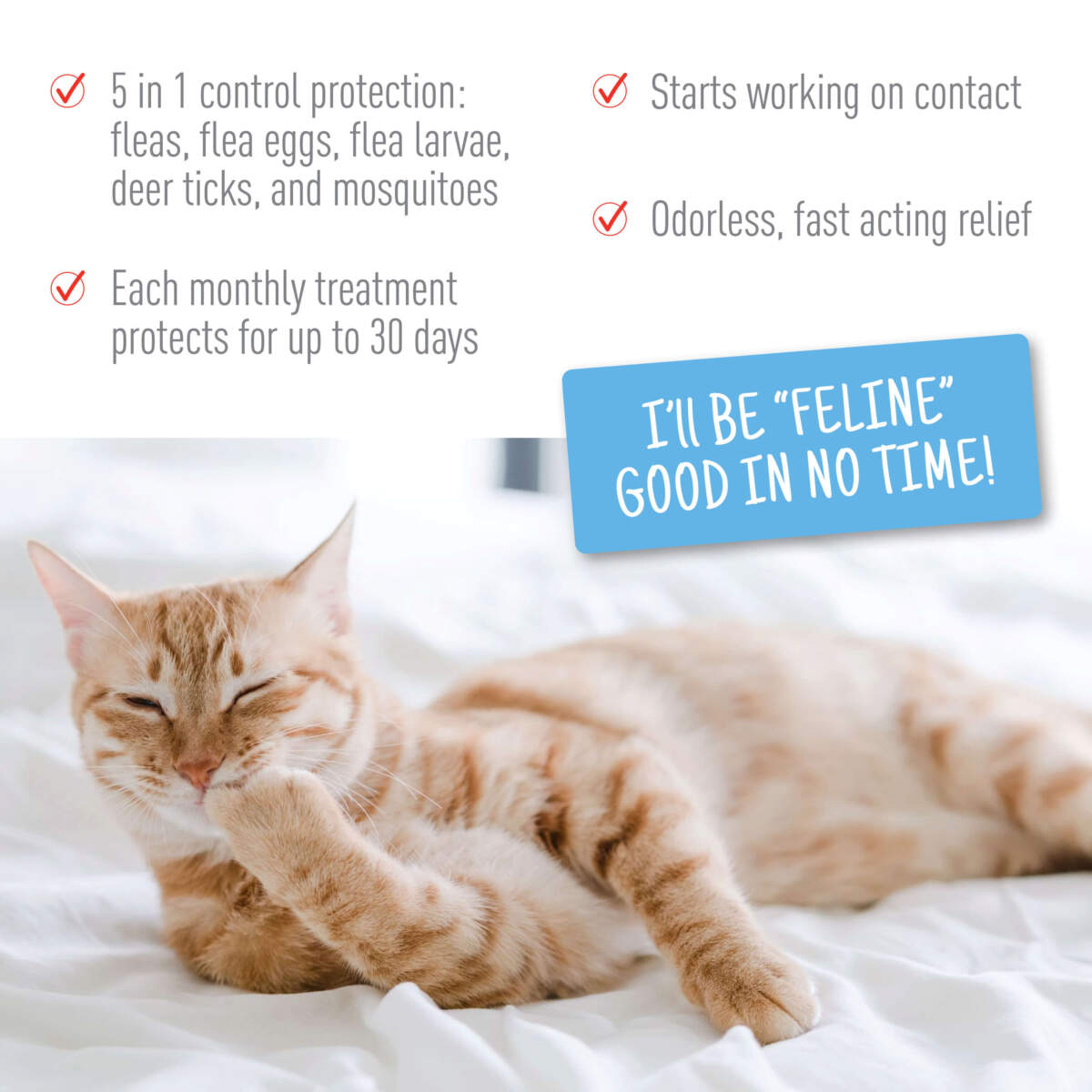 Adams Plus Flea  Tick Spot On for Cats 1ea/Over 5 lb