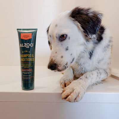 Alzoo Plant-Based Shampoo & Conditioner 2-In-1 8oz.