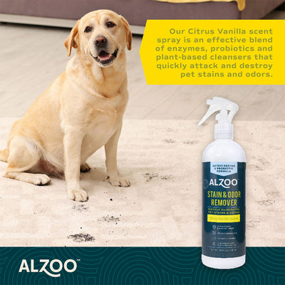 Alzoo Stain & Odor Remover Spray Cirtus Vanilla 16oz.