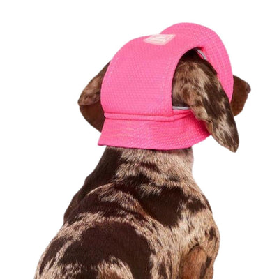 Canada Pooch Dog Cooling Bucket Hat Neon Pink MD